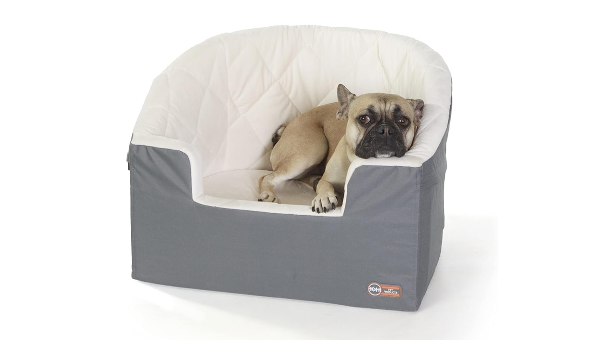 a pug lying in a small dog bed