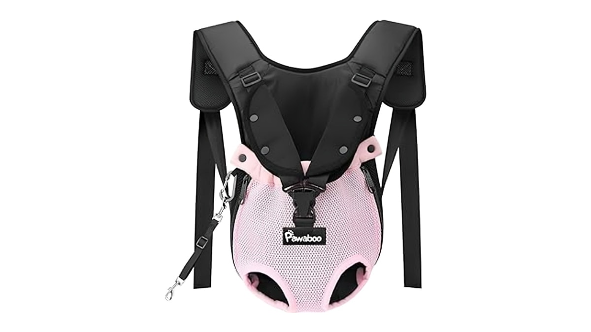a dog carrier backpack