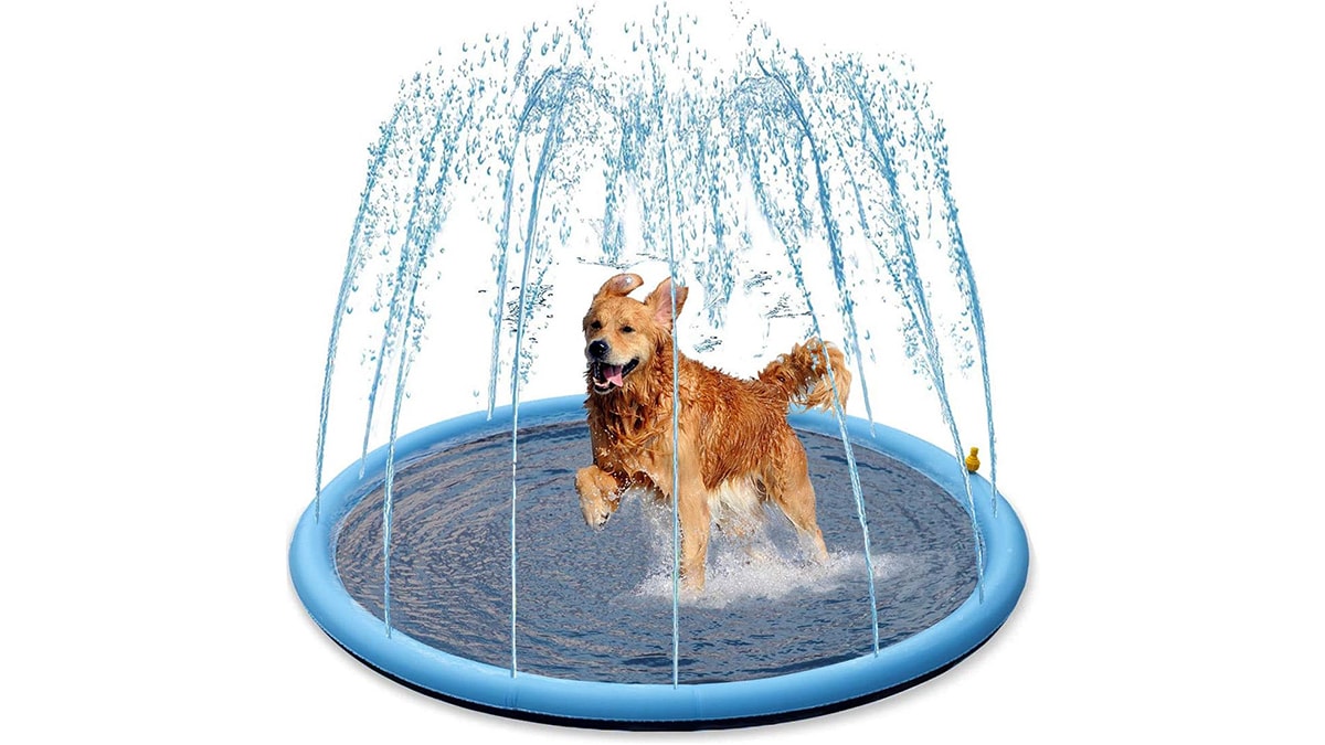 a splash sprinkler for dogs