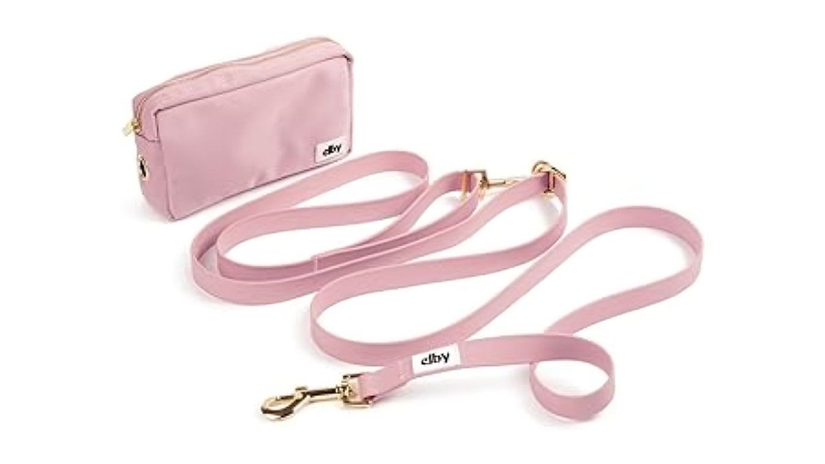 a pink leash as a dog birthday gift