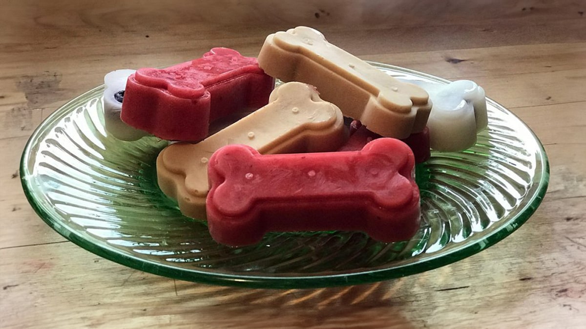 a plate full of dog treats