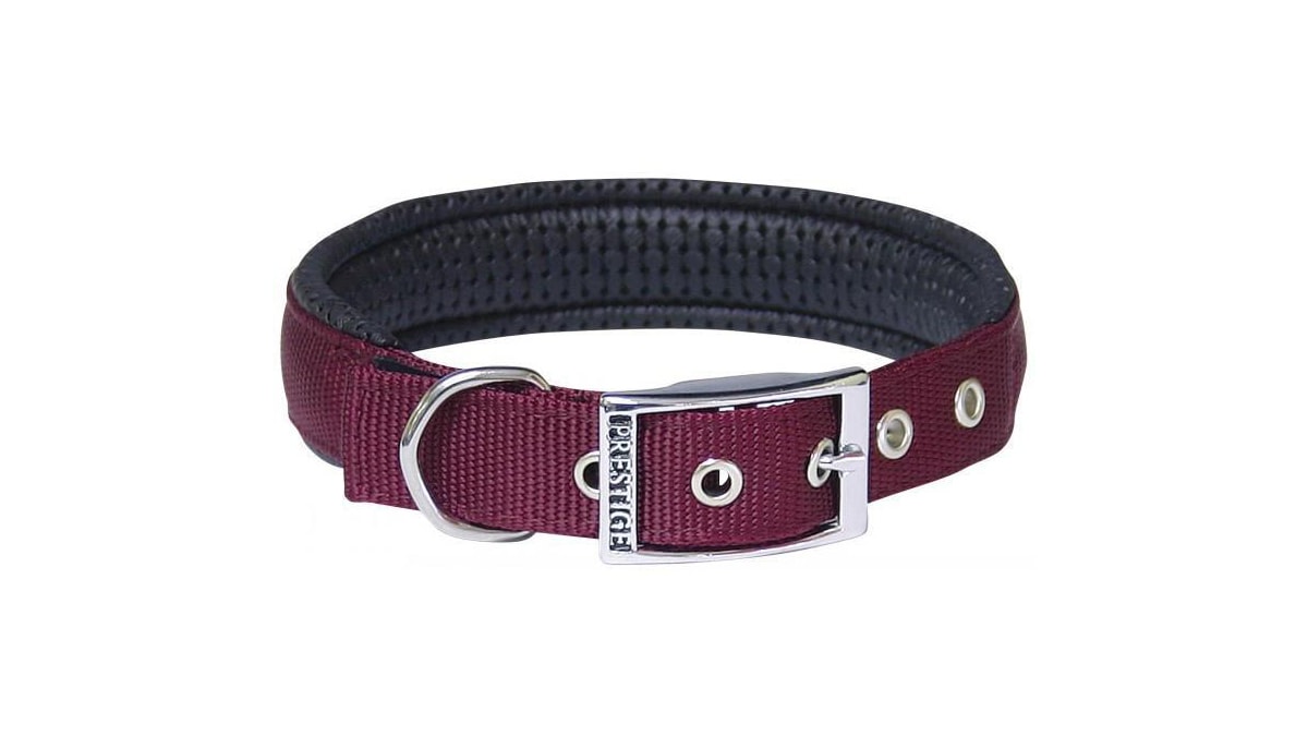 a pink, stylish, and comfortable dog collar