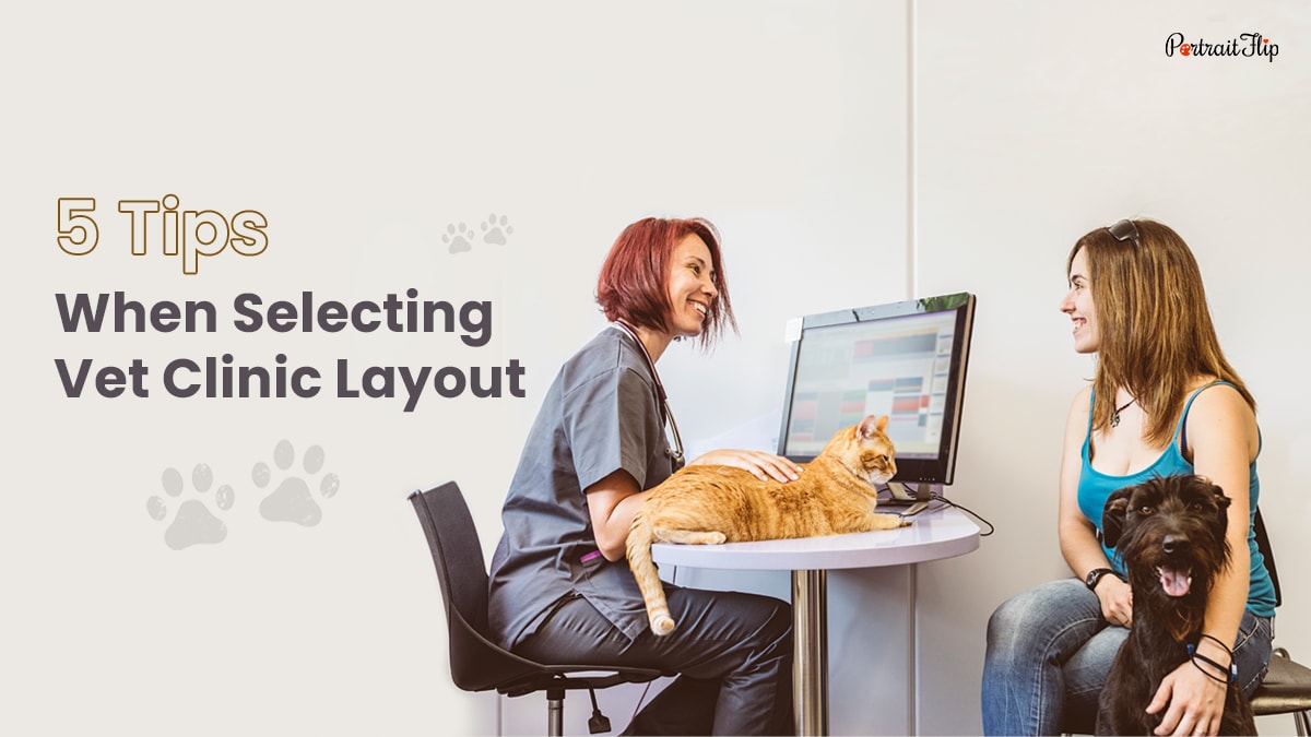 cover photo of vet clinic design