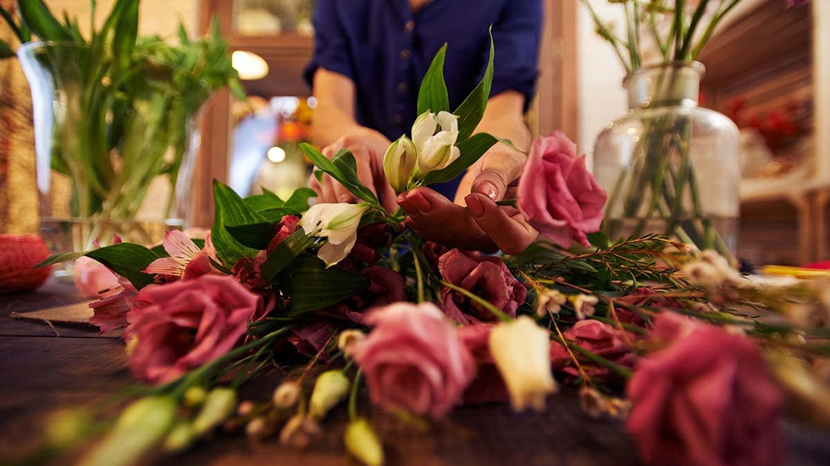 a low angle close shot of roses 