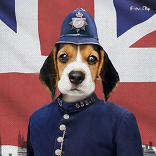 The Sergeant Pet Oil Portraits