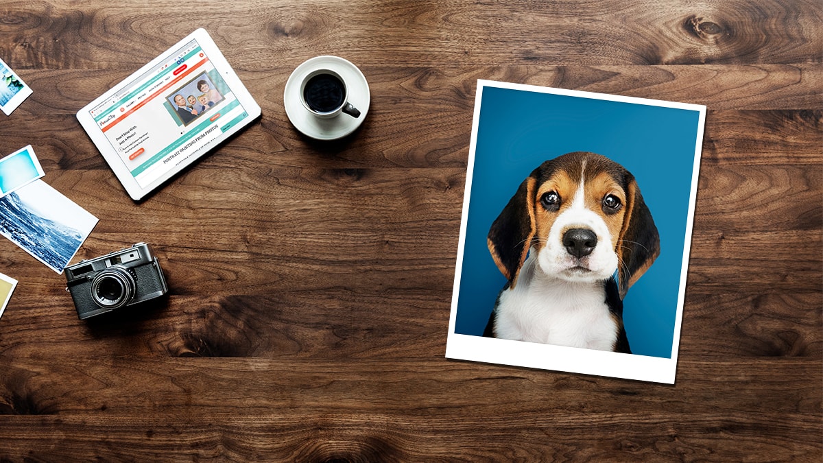 Picture of a dog placed on a table 