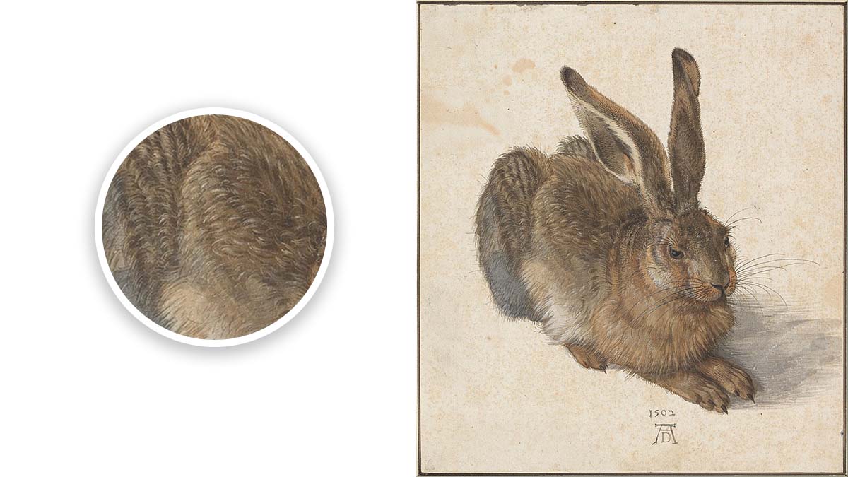 Young Hare by Albrecht Dürer