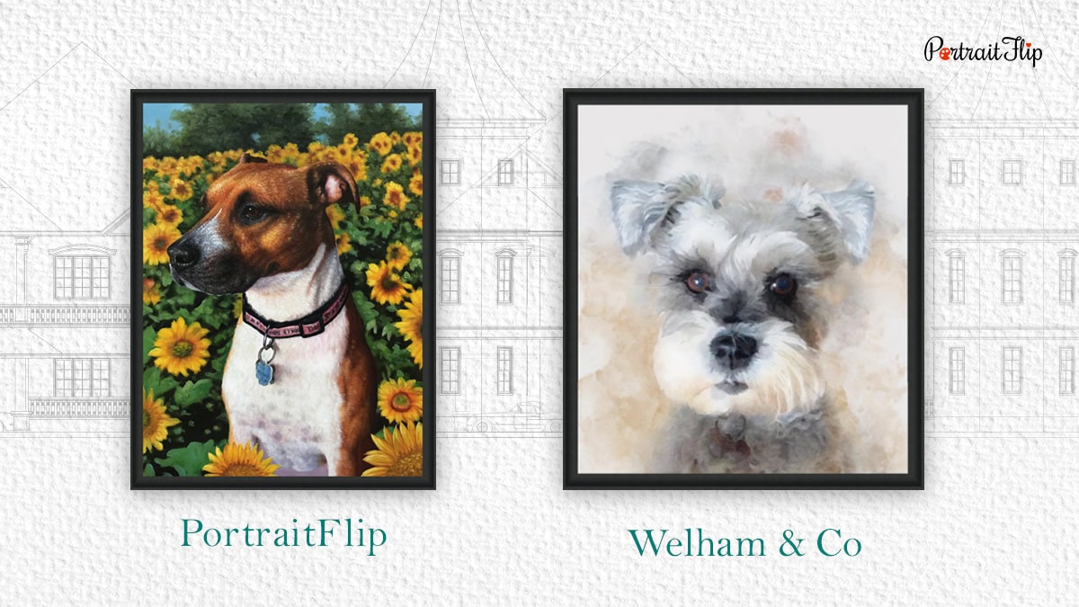 portraits of dogs from portraitflip and welham and co