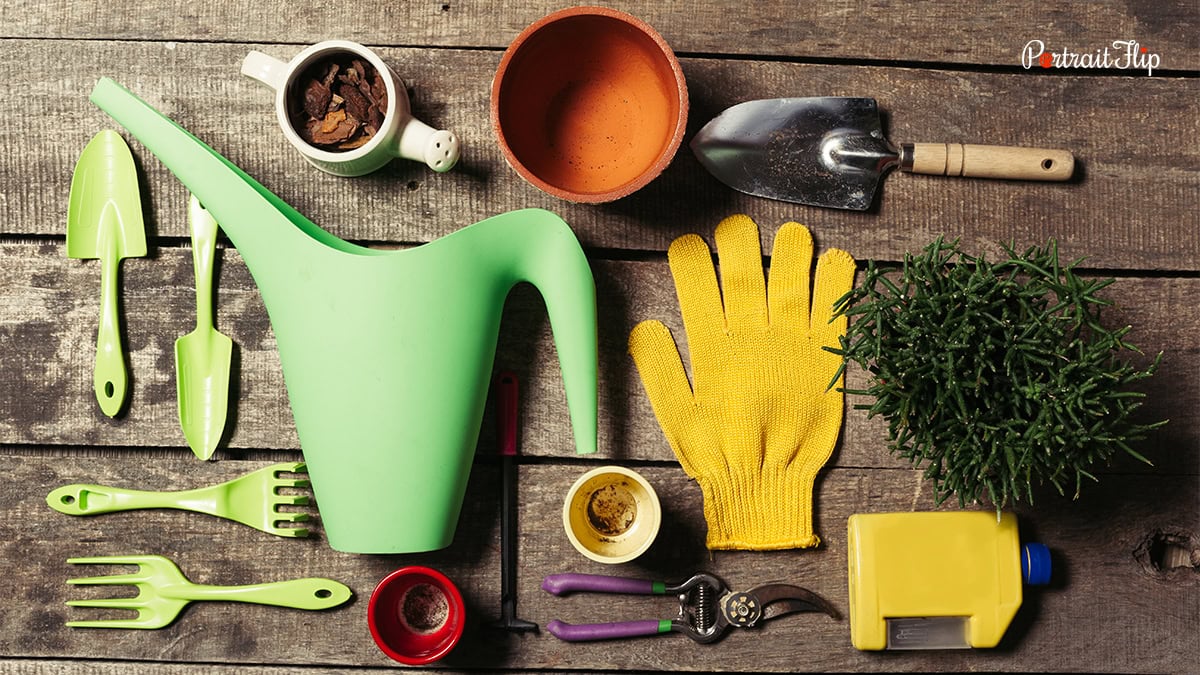 Garden Kits as a closing gifts from realtors