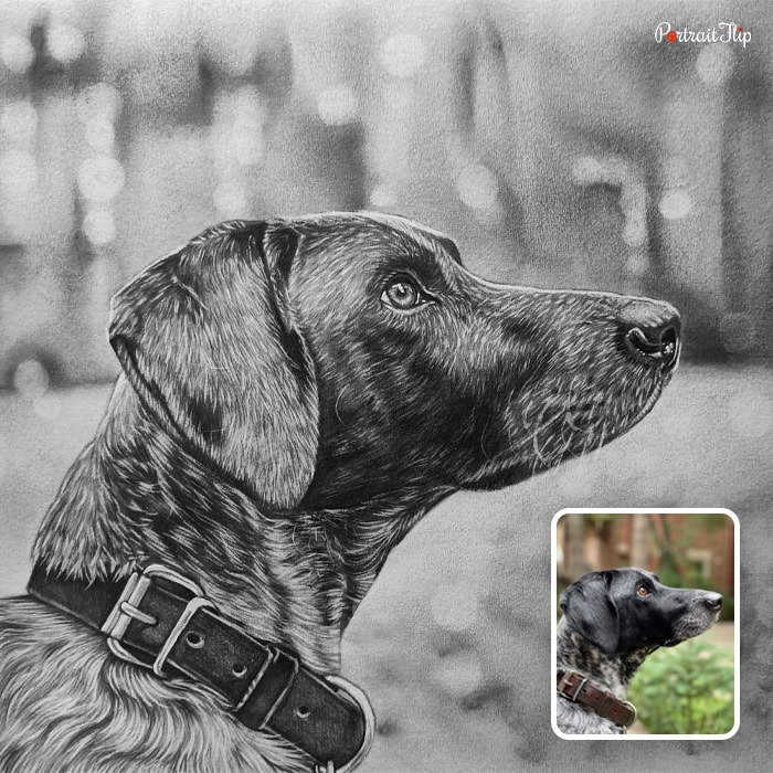 pet memorial charcoal artwork