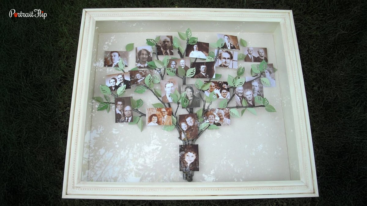a family tree shadow box