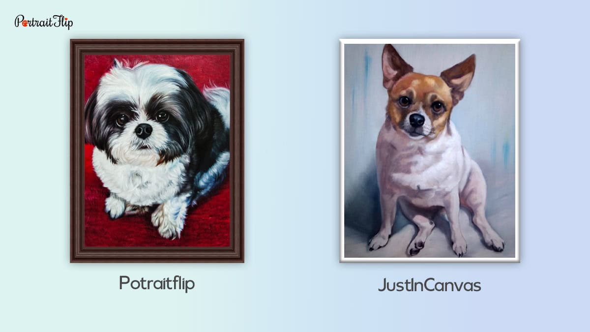 pet portraits difference between PortraitFlip and JustInCanvas