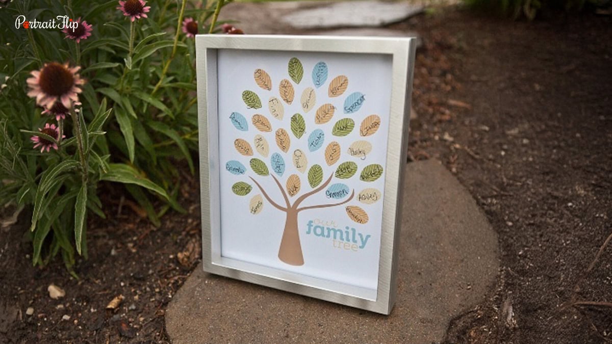 thumb impression family tree