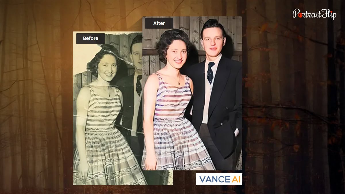 Vance AI photo restoration