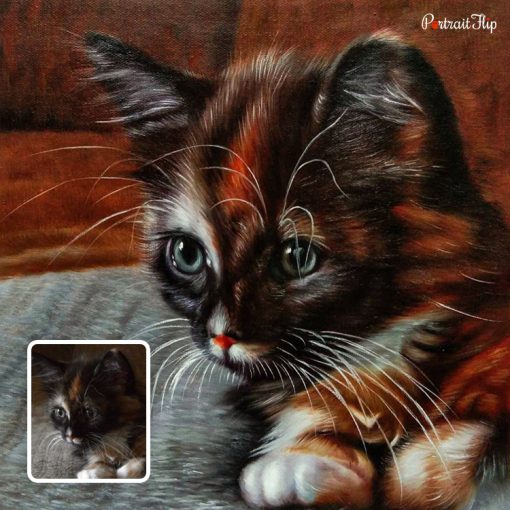 Beautiful Cat Oil Portraits