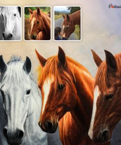 Beautiful Horses Acrylic Portraits
