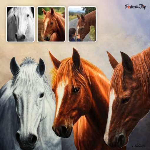 Beautiful Horses Acrylic Portraits