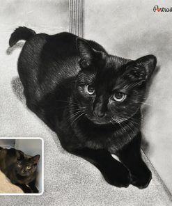 Black Cat Charcoal sketch