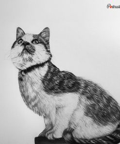 Cat Charcoal Portraits
