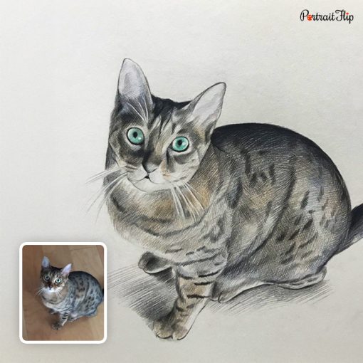 Cat Colored Pencil Portrait - Image 3