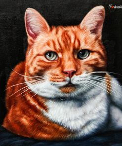 Cat Oil Portraits