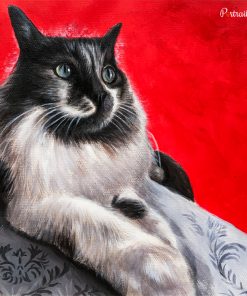 Cat Pastel Portraits
