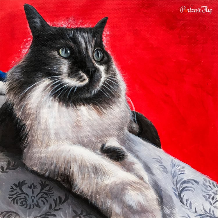 Cat Pastel Portraits