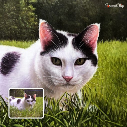 Cat in grass Oil Portraits
