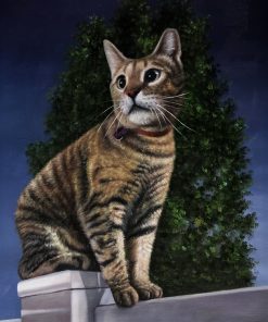 Cat on wall Acrylic Portraits