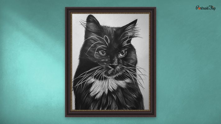 Cat pencil portrait