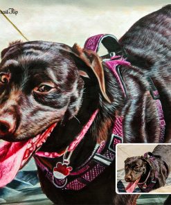 Custom Dog Watercolor Portraits