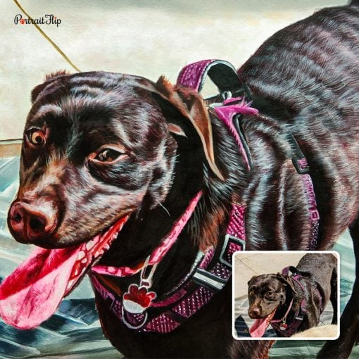 Custom Dog Watercolor Portraits