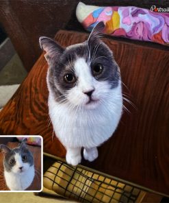 Cute Cat Acrylic Portraits