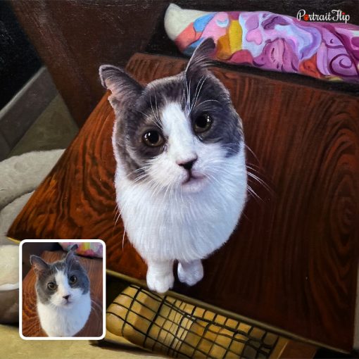 Cute Cat Acrylic Portraits