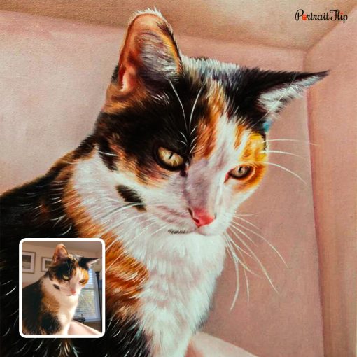 Cute Cat Oil Portraits
