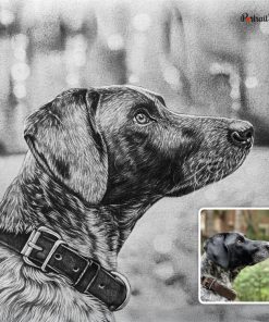 Dog Charcoal Sketch