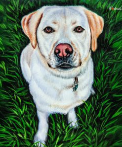 Dog Pastel Portraits
