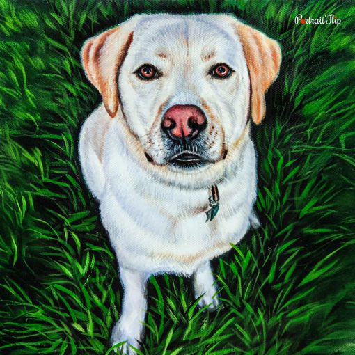 Dog Pastel Portraits