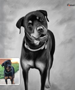 Dog Pencil Portraits