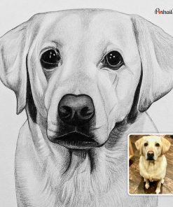 Dog Pencil Sketch