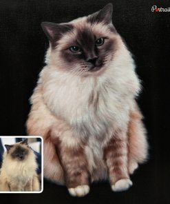 Handmade Cat Acrylic Portraits