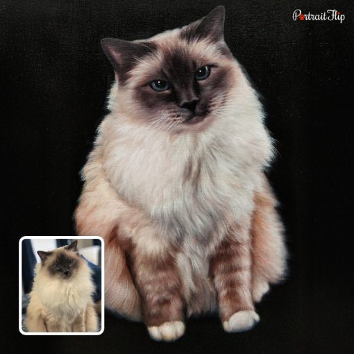 Handmade Cat Acrylic Portraits