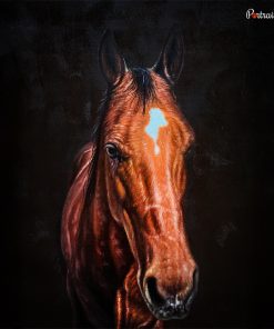 Horse Acrylic Portraits