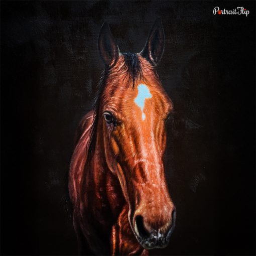Horse Acrylic Portraits
