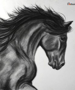 Horse Charcoal Portraits
