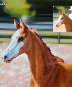 Horse Oil Paintings