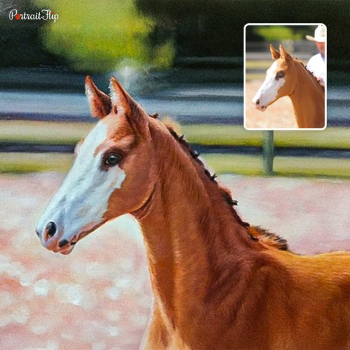 Horse Oil Paintings