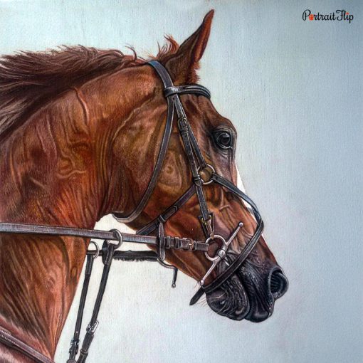 Horse Pastel Portraits