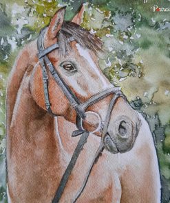 Horse Watercolor Portraits