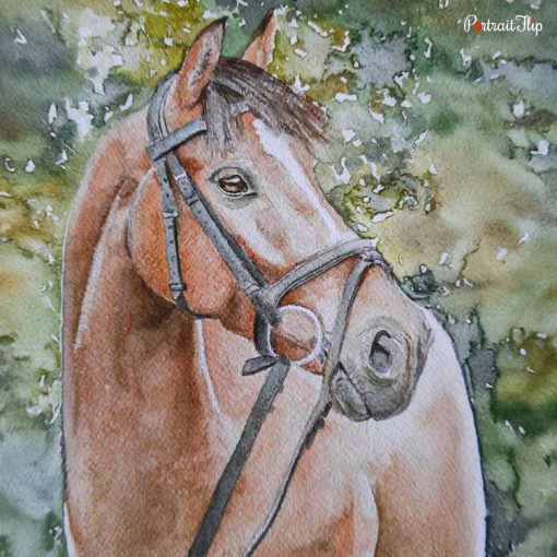 Horse Watercolor Portraits